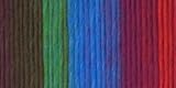 Bulk Buy: Lion Brand Landscapes Yarn (3-Pack) Apple Orchard 545-205