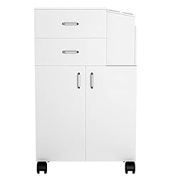 Paddie Salon Trolley Cart with Wheels, 2 Drawer