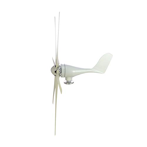 Taishi 800W 24V 6 Blades Residential Horizontal Wind Turbine Generator