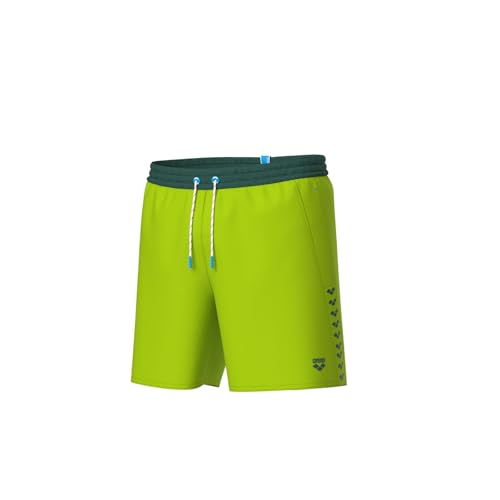 arena Boxer de Plage Team Stripe pour Hommes