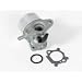 Briggs & Stratton 498170 Carburetor primary