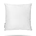 Pal Fabric Square Sham Pillow Insert 18