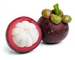 Fresh Purple Mangosteens (Set of 20)