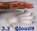 3.3 Cloud9 Twin XL 3 Inch 100% Visco Elastic Memory Foam Mattress Topper