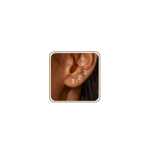 Lunvky 14k Gold Silver Plated Stud Earrings for Women Small Ear Stud Set at Amazon