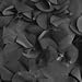 Original Sync Swimwear Petal Swim Caps I Vintage Retro Flower Bathing Cap Black