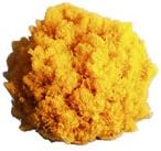New England Natural Bath Sponges from the Sea - Nature's Bath Sponge 5-6" (approx. size when wet)