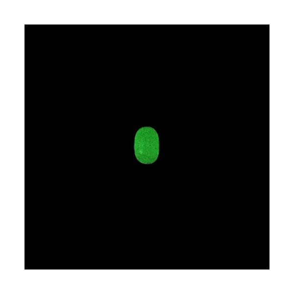 Wildlife-Luminous-Beads-Oval-Shaped-Beads-circle-Beads-Fishing-Lures-Fishing-Bead-Fishing-Tackle-Tools-Eggs-glow-fishing-beads-green