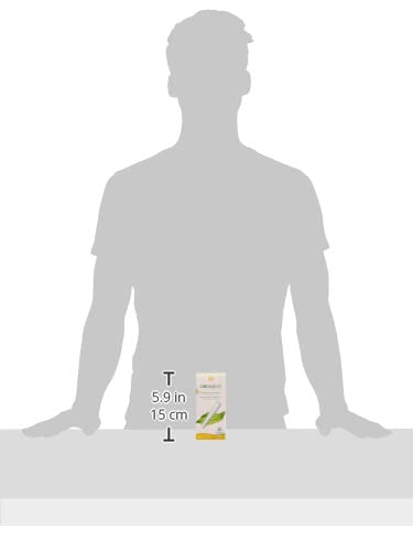 ORGANYC REGULAR APPLICATOR TAMPONS