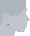 Amazon Collection Sterling Silver Black Diamond Omega Back Earrings