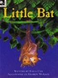 Front cover for the book Little Bat by Tania Cox