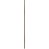 Accessory - Extension Stem-0.62 Inches Wide-12 Inch Down Rod Length-Natural Aged Brass Finish