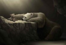 Cave Rocks Toys Lonely Dessin Bears Nounours Tristesse Polar