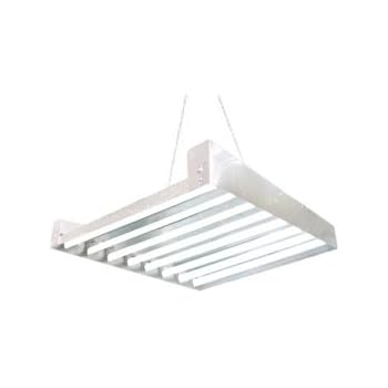 The Daisy Chain Full Movie Part 1