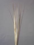 12 Pieces Gold Plain 21
