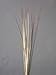 12 Pieces Gold Plain 21