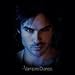 Damon Close-Up -- The Vampire Diaries Adult T-Shirt, X-Large