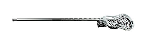 stx stallion 200 head