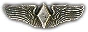 US Air Force Mini Wasp Wings Lapel Pin