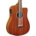 Gold Tone M-BassFL 23-Inch Scale Fretless Acoustic-Electric MicroBass with Gig Bag