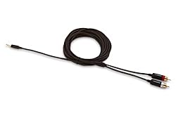 Amazon Basics 3.5mm to 2-Male RCA Adapter Cable