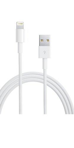 Apple Lightning to USB Cable (MD818ZM/A)