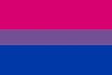 Bi Pride Flag Bisexual Banner Gay Lesbian LGBT 3x5 Rainbow Festival Pennant