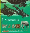 Mammals: Whales, Panthers, Rats, and Bats: The Characteristics of Mammals from Around the World (Voyages of Discovery)