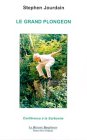 Le  grand plongeon