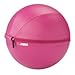 The Firm Zip Trainer Medicine Ball Kit