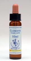 CLEMATIS Healing Herbs Bach Flower Remedies 10ml by Healingherbs
