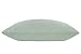 ALASKA BEAR Natural Silk Pillowcase, Queen (1pc, Mint Green)