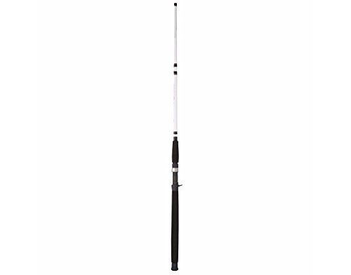Berkley Big Game Rod - Image 3