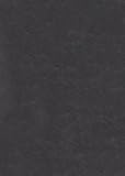 Charles Warren Stoddard to Susan Bogert Warner, Blanck, Jacob, 0300038399