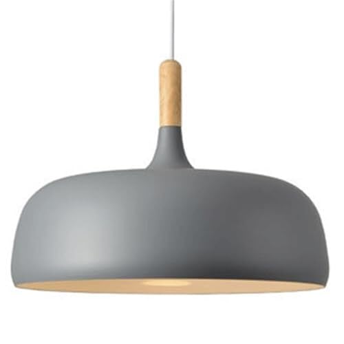 Industrial Style Iron Chaner – Creative Pendant Lamp Shade, Flush Mount Single-Head Pendant Light, E27 Screw Ceiling Hanging Light for Porch and Corridor Decor(Dark) (Natural)