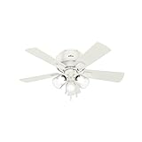 Hunter Fan Company, 52152, 42 inch Crestfield Fresh