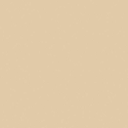 Otofonix Encore Hearing Aid Amplifier to Assist Hearing for Adults and Seniors (Left Ear, Beige)