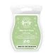 1 X White Tea and Cactus Scentsy Bar Wickless Candle Tart Warmer Wax 3.2 Fl Oz, 8 Squares