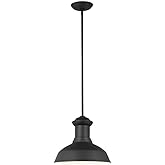 Generation Lighting 6247701-12 Fredricksburg Traditional 1-Light Outdoor Exterior Dark Sky Compliant Ceiling Hanging Pendant 