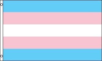 Best Flags Transgender Polyester Outdoor Flag, 3 by 5-Feet by Flags Importer