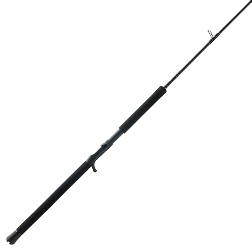 Penn Squadron IV Jig Conventional Casting Rod, 6'6", 1-Piece Saltwater Fishing…
