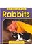 Rabbits (All about Pets) by