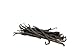 Slofoodgroup Grade B Vanilla Beans, 10 Premium Quality Extract Vanilla Pods for Making Homemade Vanilla Flavor, Vanilla Powder or Vanilla Paste, Tahitian and Bourbon Type Whole Vanilla Beans