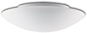 RZB 211005002 Wall and Ceiling Light White