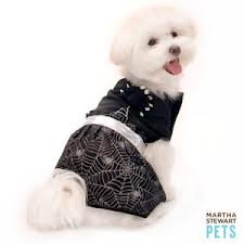 Martha Stewart Pets Spider Girl Costume Medium