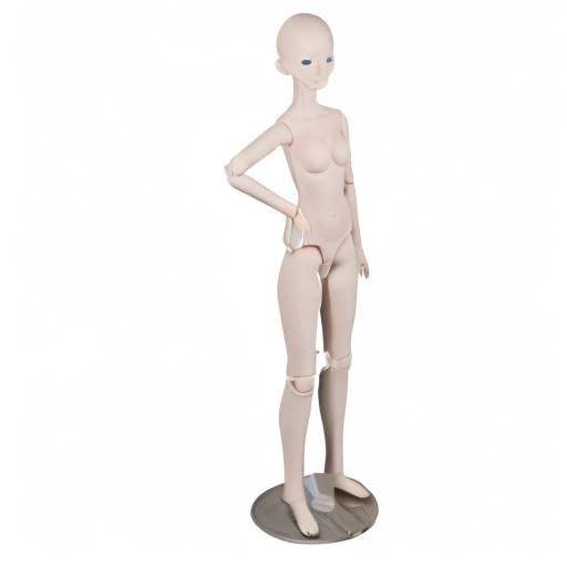 EVA BJD 1/3 BJD Doll 22 Joints Customized Ball Jointed Doll About 62cm Tall 24in for Collect DIY Dolls