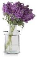 Roux Brands - Milkjug Vase with Frame