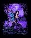 Full Moon Fairy Mink Blanket Queen Signature Collection Nu Trendz