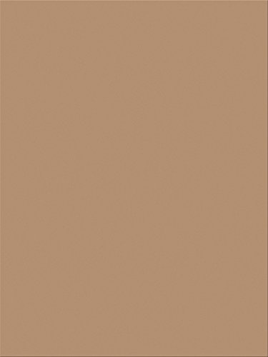 Pacon SunWorks Construction Paper, 9" x 12", 100-Count, Light Brown (6904)