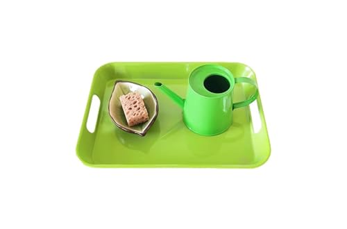 LLTCMAOYI Montessori Plant Watering Work Set, Cultivating Kids's Hands-On Observation Ability